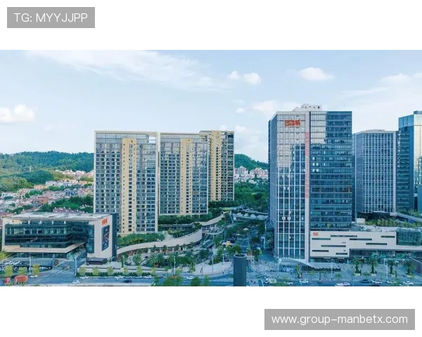 万博网页版本的多样化界面设计满足不同用户的个性化需求